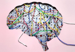 (Under 2012 publicerades det 477 forskningsartiklar om effekterna av mindfulness. Källa mindfulexperience.org)